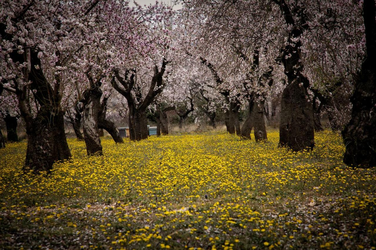 Casa Jou Villa Abella de la Conca Dış mekan fotoğraf
