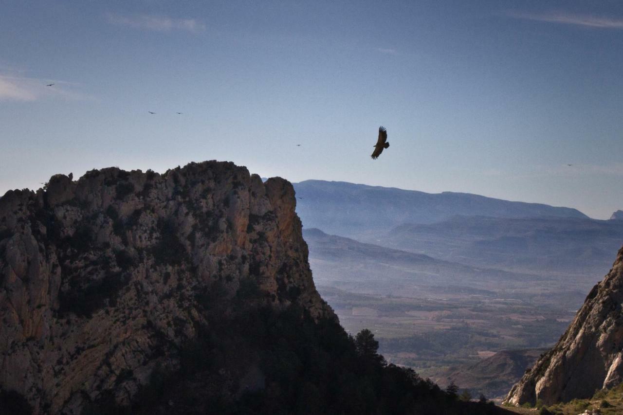 Casa Jou Villa Abella de la Conca Dış mekan fotoğraf