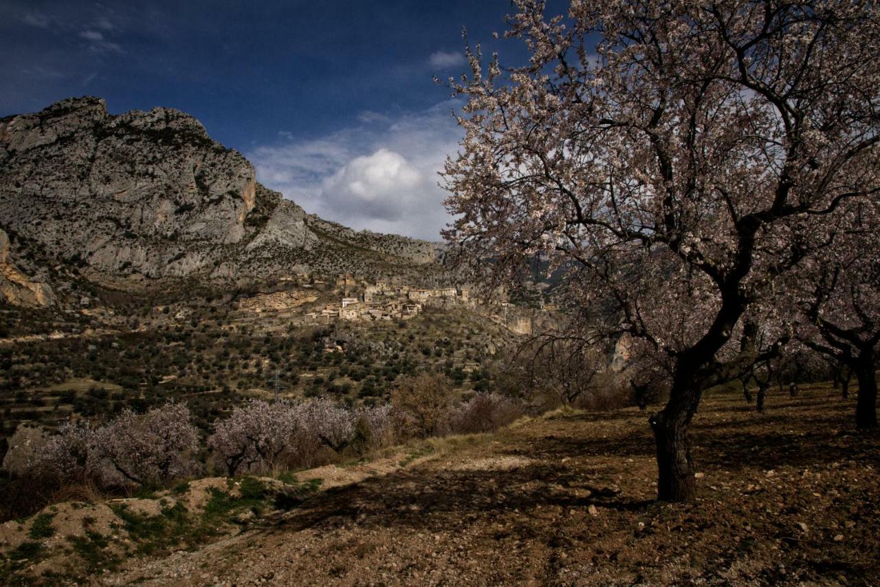 Casa Jou Villa Abella de la Conca Dış mekan fotoğraf